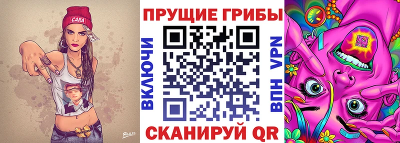 omg как зайти  Нижнекамск  Псилоцибиновые грибы прущие грибы 